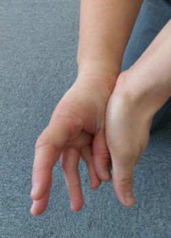 IMAG0911.jpg